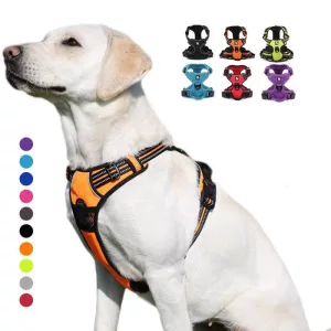 Easy Walk No Pull Hundesele