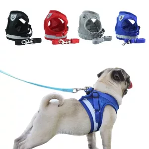 Mesh Selevest Med Line Til Hvalpe, Små Og Mellemstore Hunde