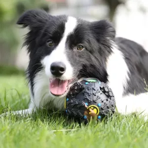 Hundemad Puslespil Legetøj