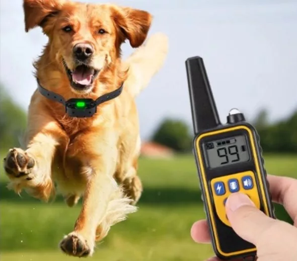 Fjernbetjent Hundetræningskrave
