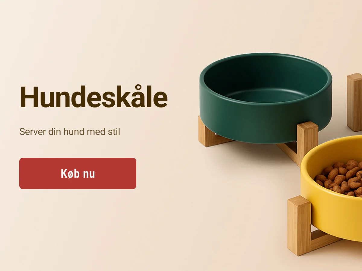 slide-1