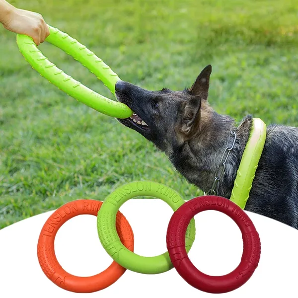Hundegummi Træningsring til Tygning