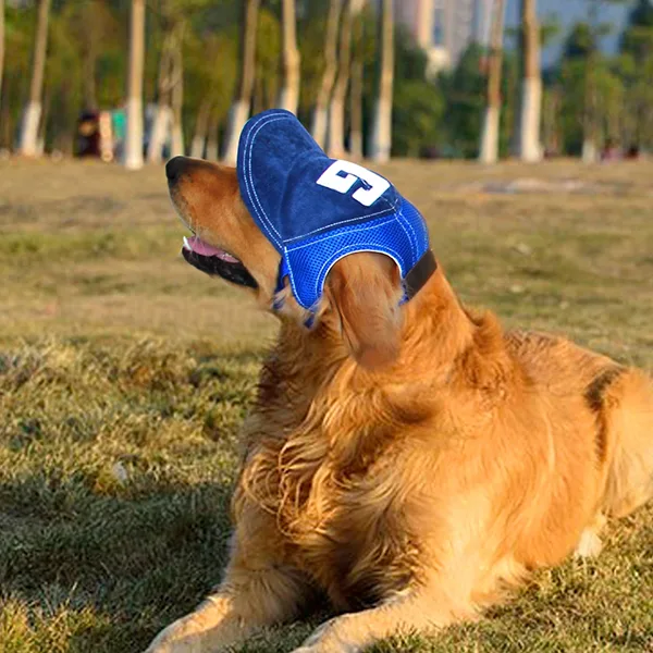 Hundehat Baseball Kasket til Kæledyr med Øreåbninger