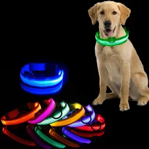 LED-lys Hundehalsbånd Genopladeligt Blinkende