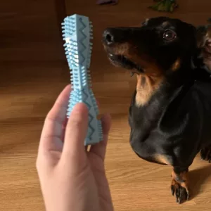 Modtaget Tandrensende Tyggelegetøj til Hund fra kunde N****e.