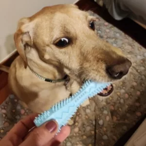 Modtog Tandrensende Tyggelegetøj til Hund fra kunde F****h.