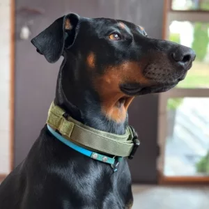 Modtog Tactical Training hundehalsbånd med metalspænde fra kunde D****e.