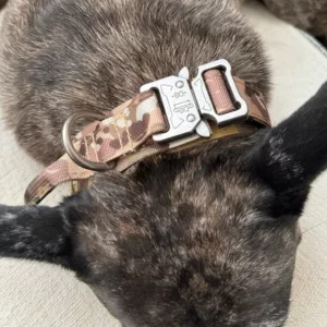 Modtaget Tactical Training hundehalsbånd med metalspænde fra kunde S***n.