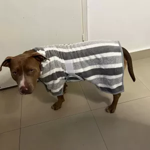 Modtaget hundebadekåbe absorberende håndklæde fra kunde M****y.