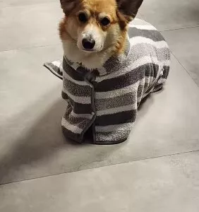 Modtaget hundebadekåbe, absorberende håndklædekåbe fra kunde E***a.