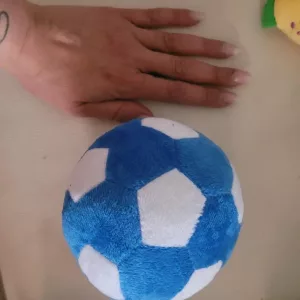 Modtog Hund Fodbold Pivende Bold Blødt Legetøj fra kunde F******r.