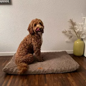 Modtaget kort plys hundeseng med aftageligt betræk fra kunde L*****n.