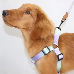 dog harness, dog leash, dog vest harness