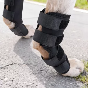 dog leg brace, dog knee brace, dog hock brace, dog knee support, dog leg wrap