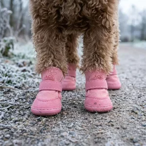 warm dog shoes